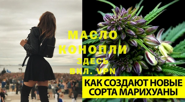 spice Белокуриха
