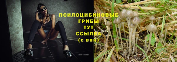марки lsd Беломорск