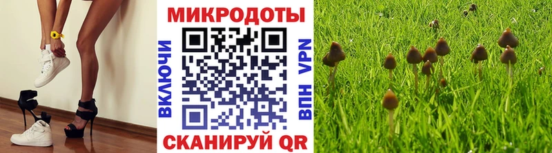 Галлюциногенные грибы мухоморы  Купить  Инсар 